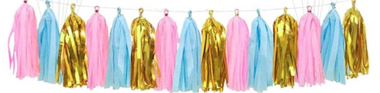 Gender Reveal Tassel Banner