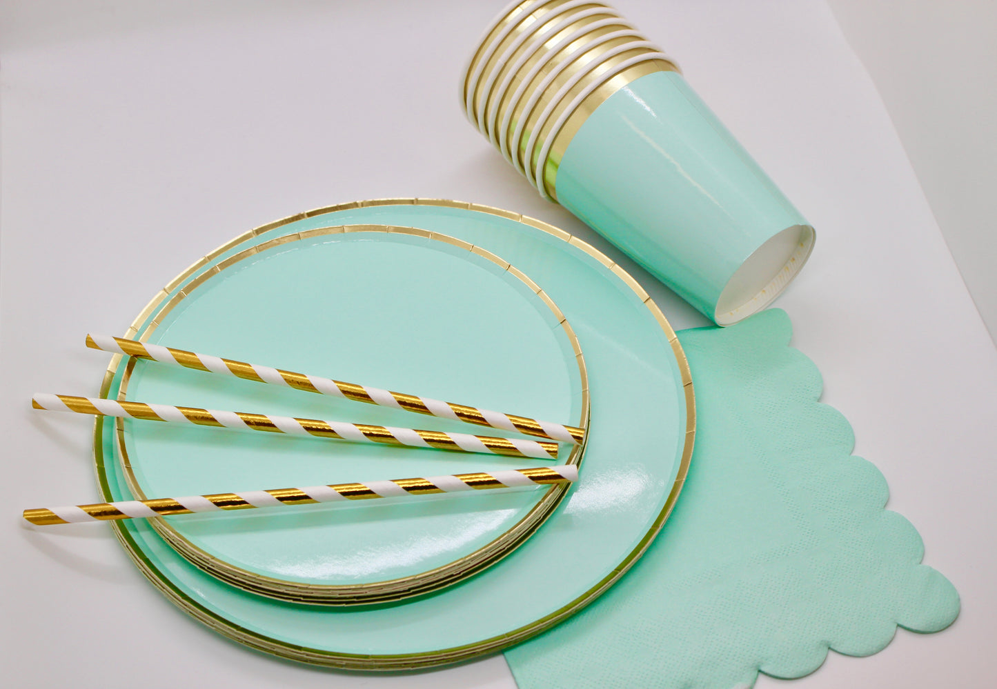 Mint Green Paper Plate Set - 69 pieces!