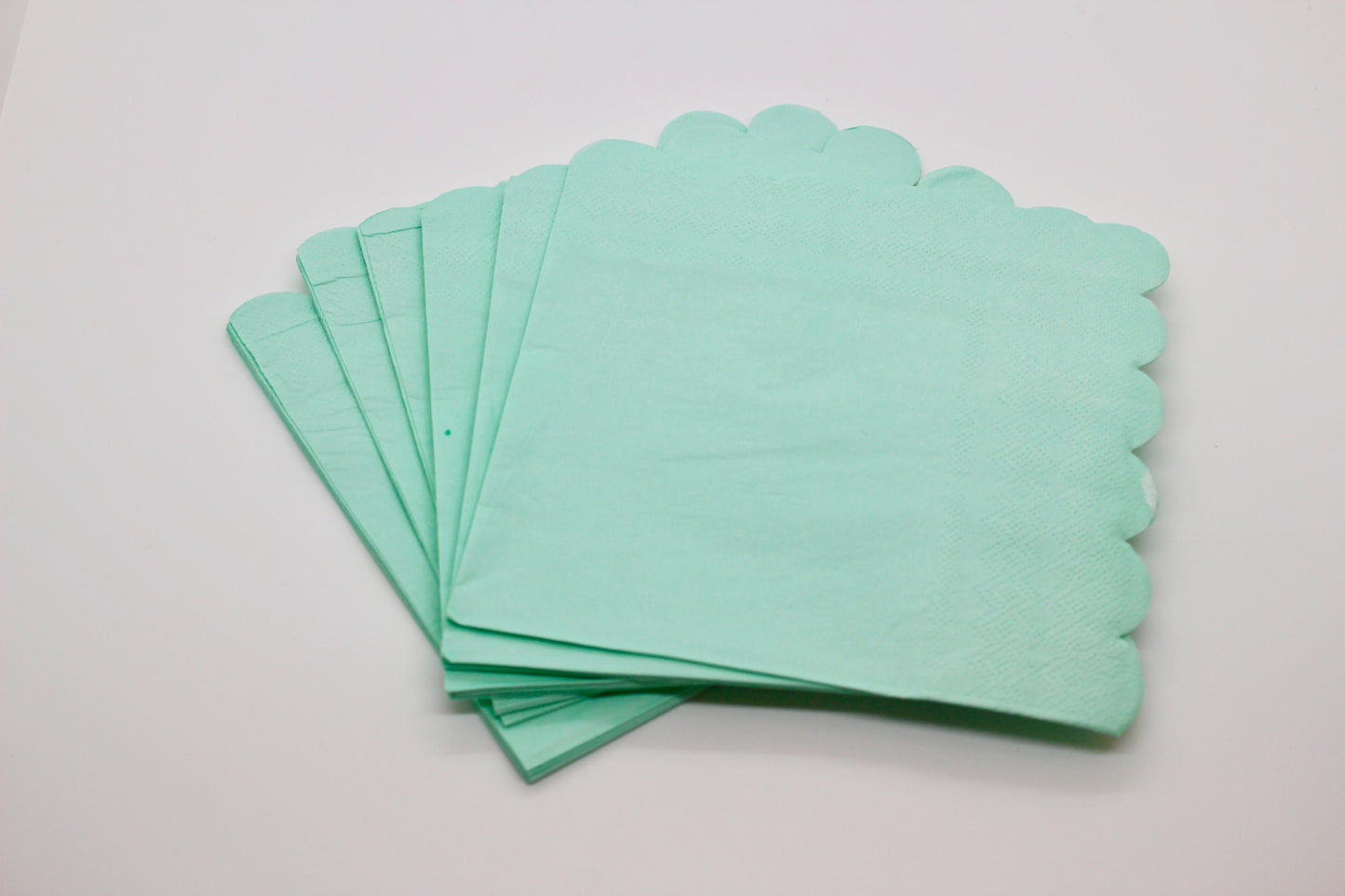 Mint Green Paper Plate Set - 69 pieces!