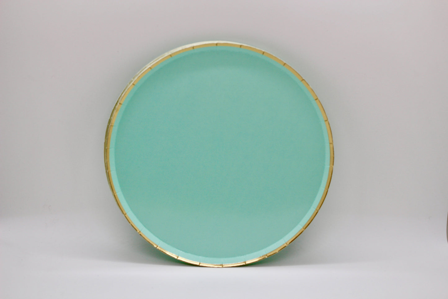 Mint Green Paper Plate Set - 69 pieces!