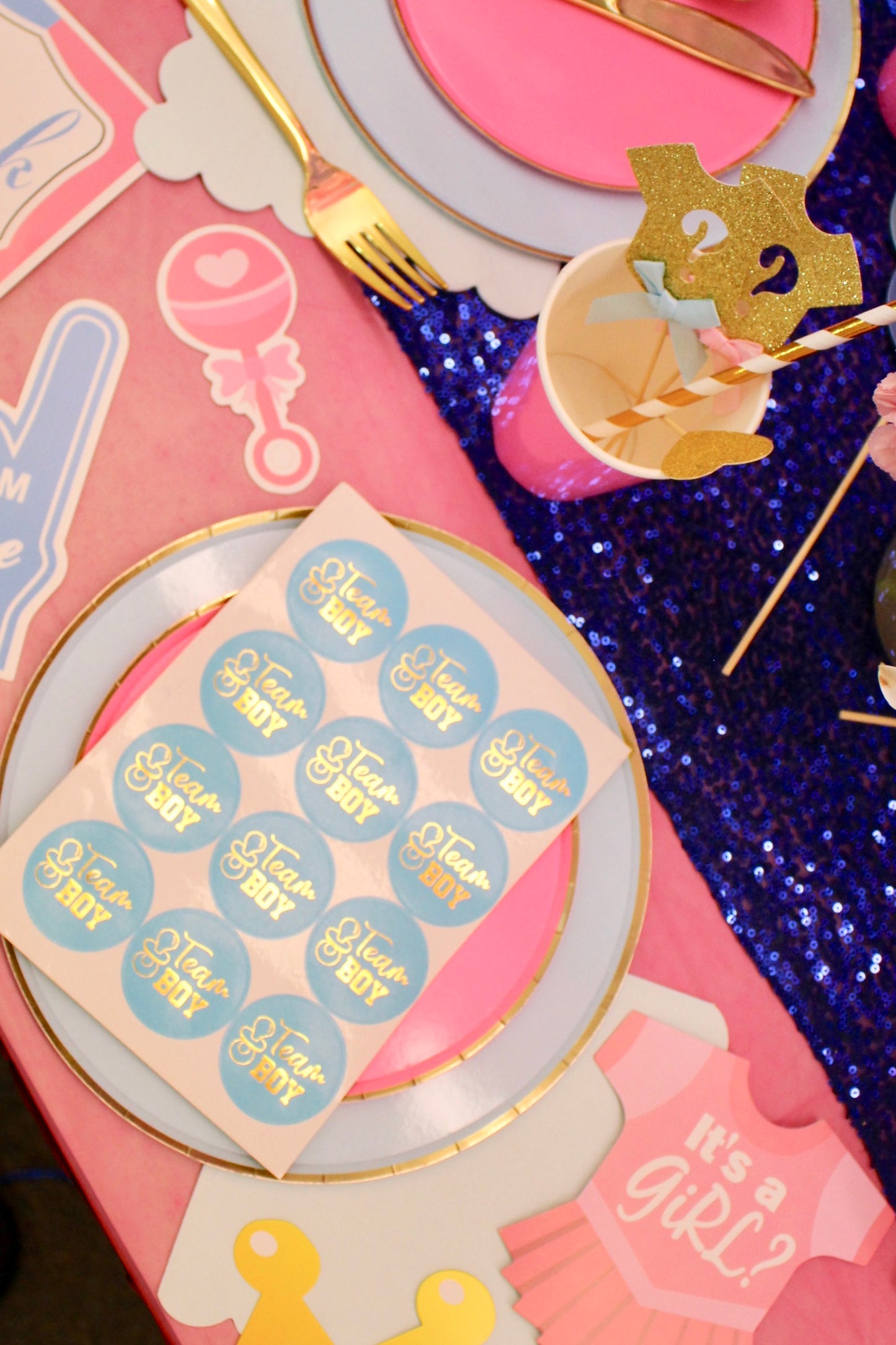 Gender Reveal Party Box