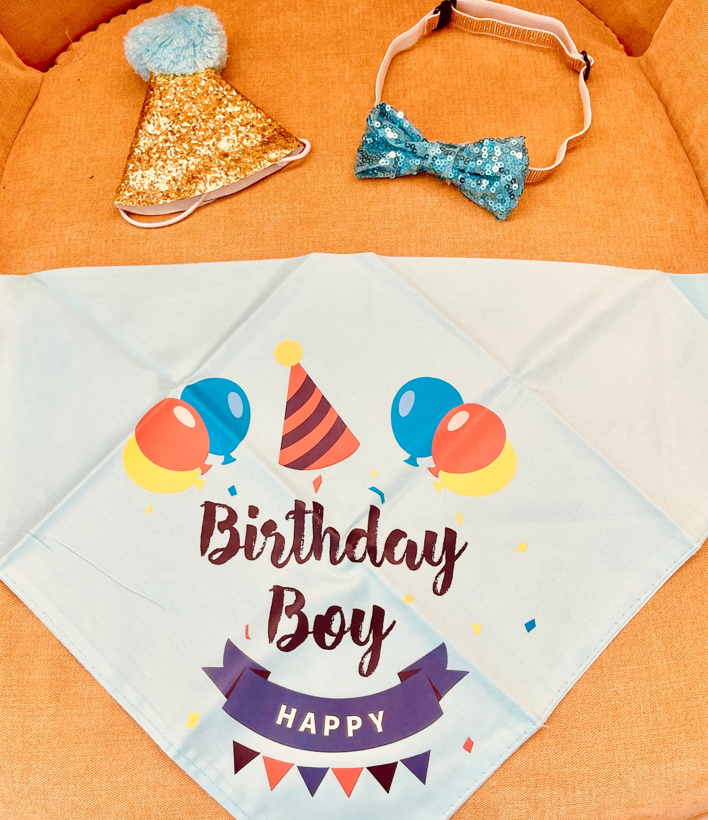 Puppy Pawty Box, Blue