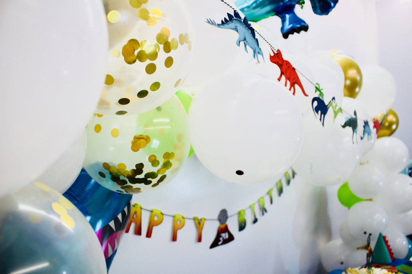 Dinosaur Party Box