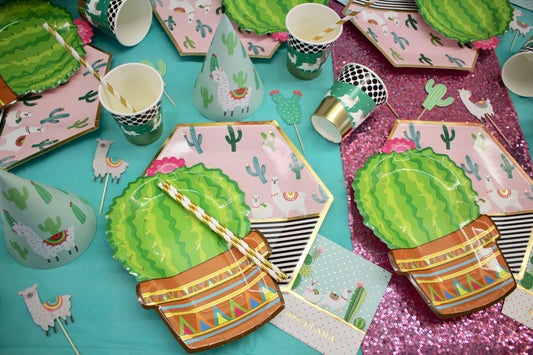 Llama & Cactus Birthday Party Box