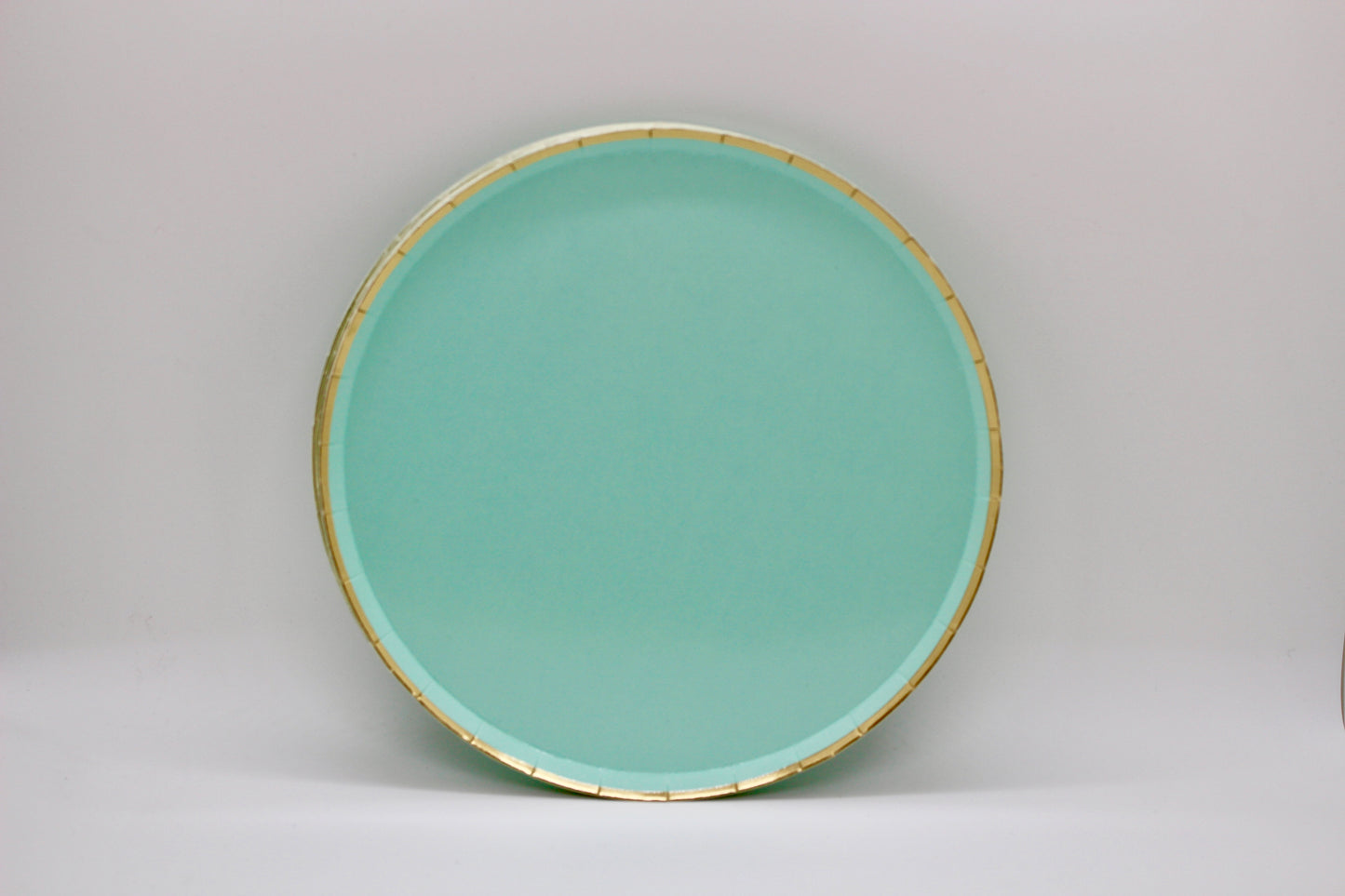 Mint Green Paper Plates - Set of 8