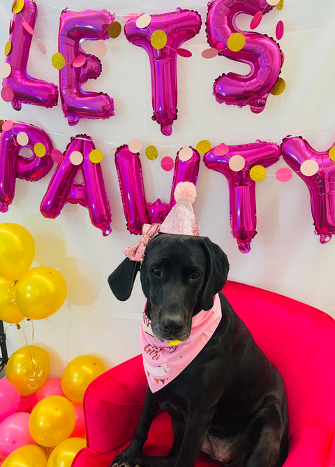 Puppy Pawty Box, Pink